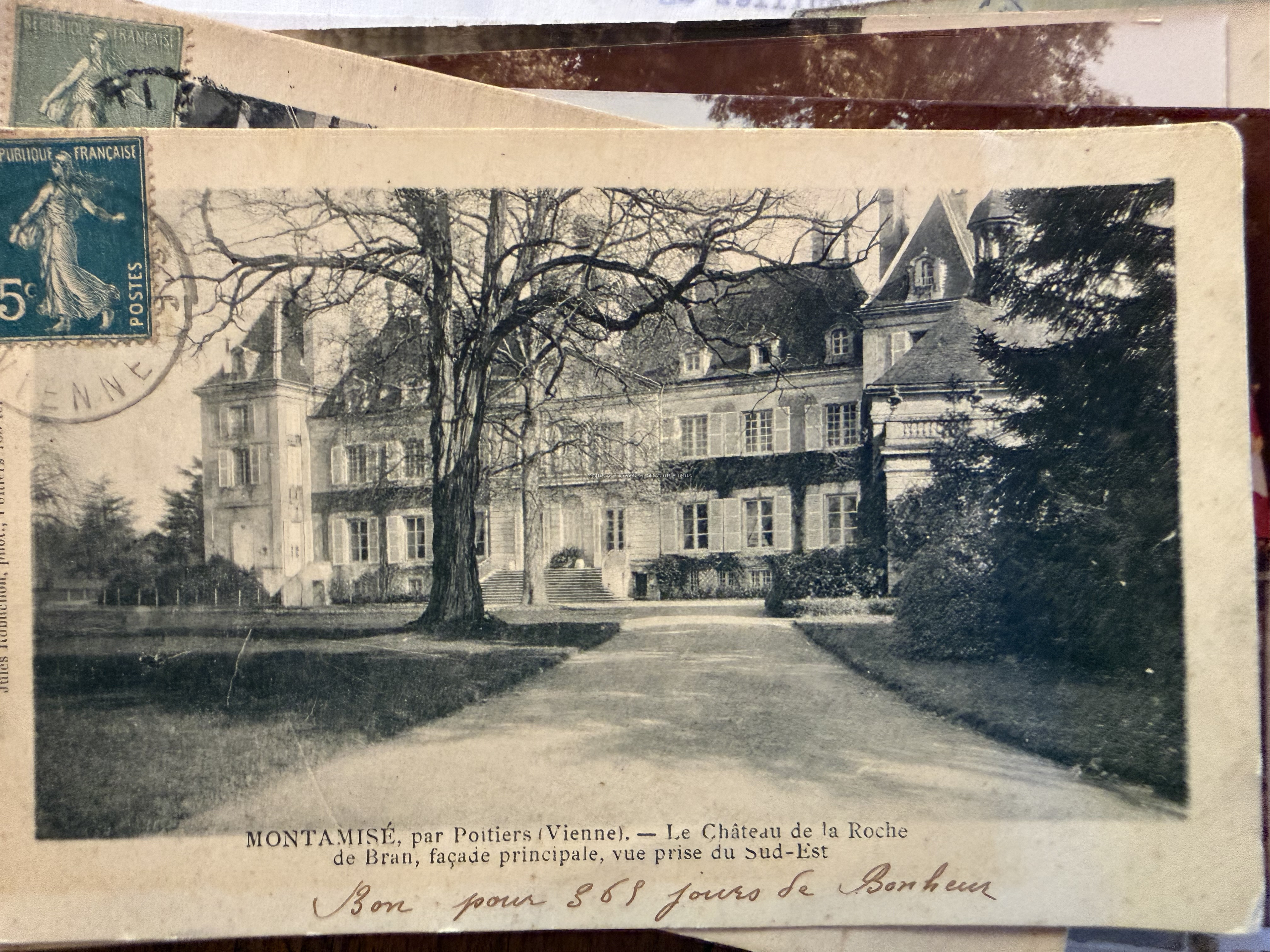 Chateau de La Roche de Bran MONTAMISE
